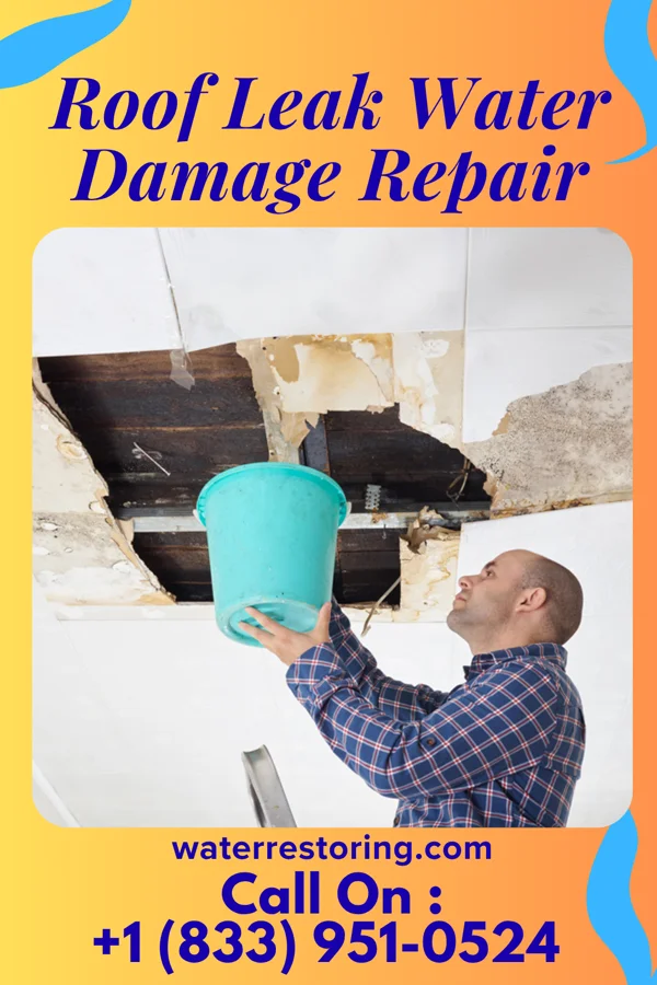 Roof Leak Water Damage Repair in Tolna, ND